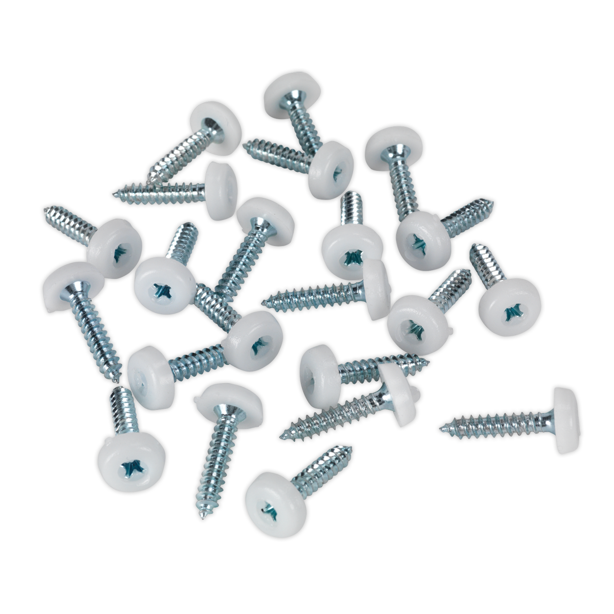 Numberplate Screw with Plastic Enclosed Head 4.8 x 24mm, White - Pack of 50
