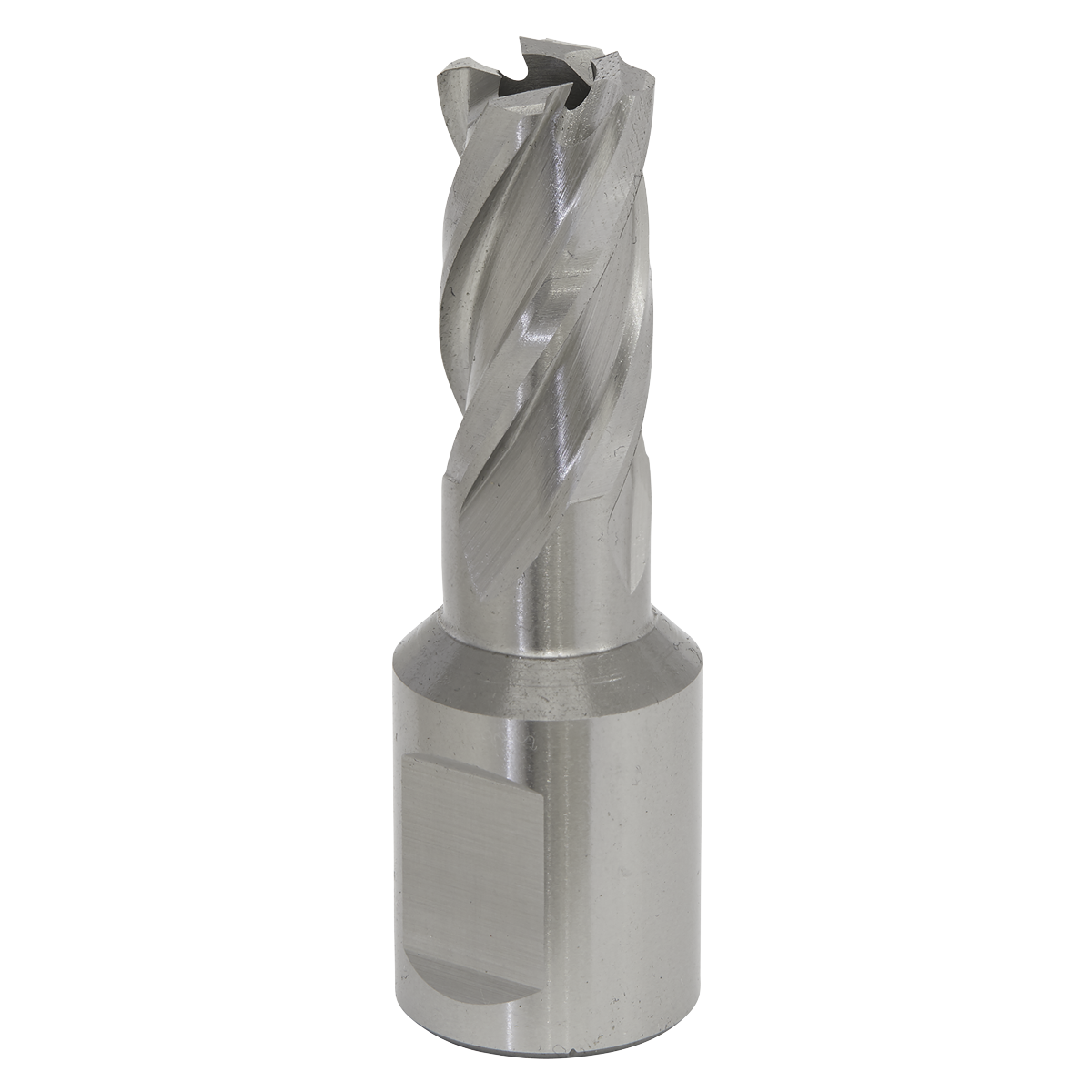 Worksafe® 13mm HSS Mag Drill Bit Cut Depth 25mm