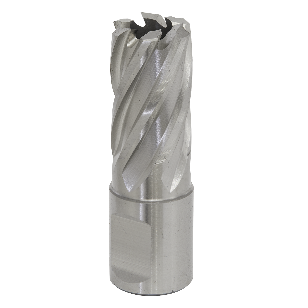 Worksafe® 17mm HSS Mag Drill Bit Cut Depth 25mm