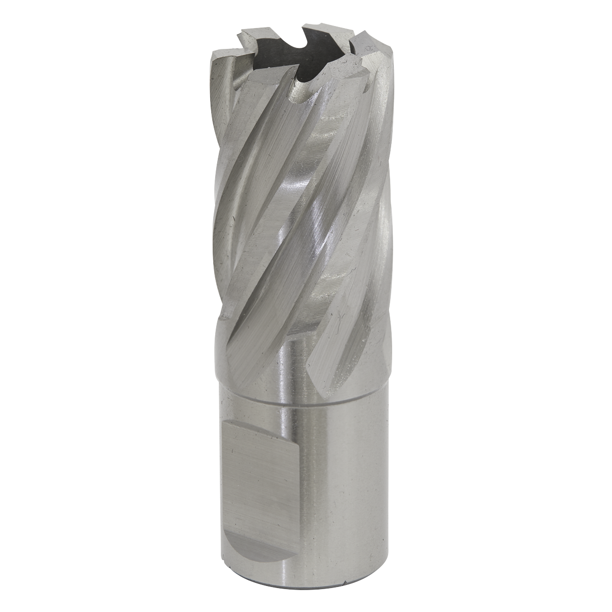 Worksafe® 20mm HSS Mag Drill Bit Cut Depth 25mm