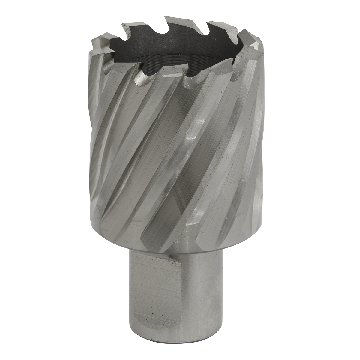 Worksafe® 35mm HSS Mag Drill Bit Cut Depth 25mm