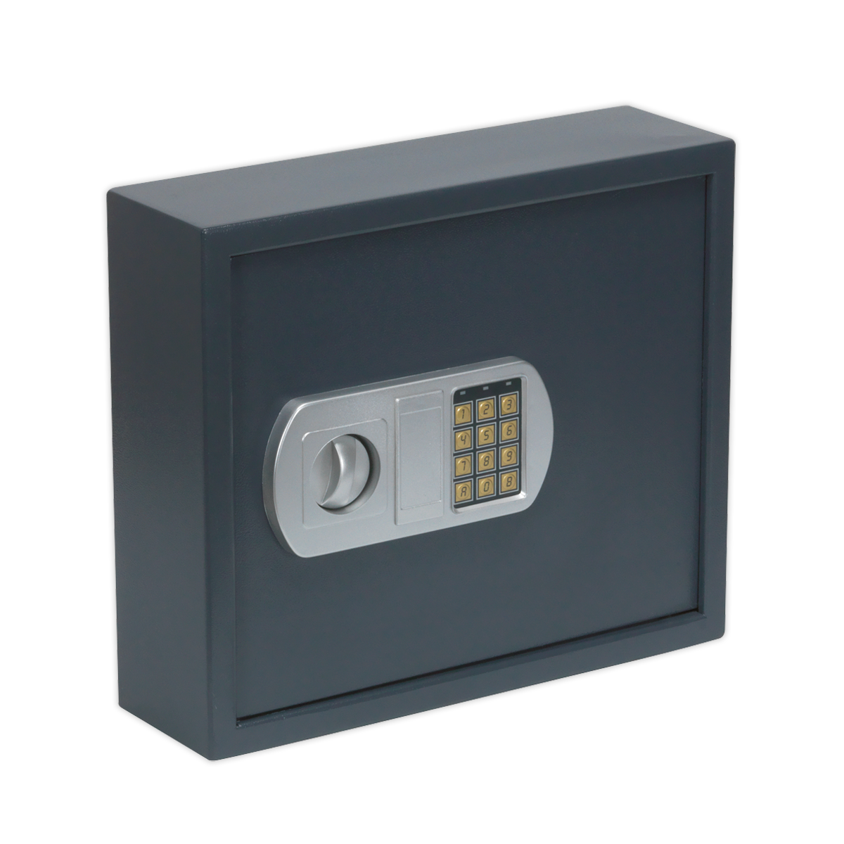 Electronic Key Cabinet 50 Key Capacity