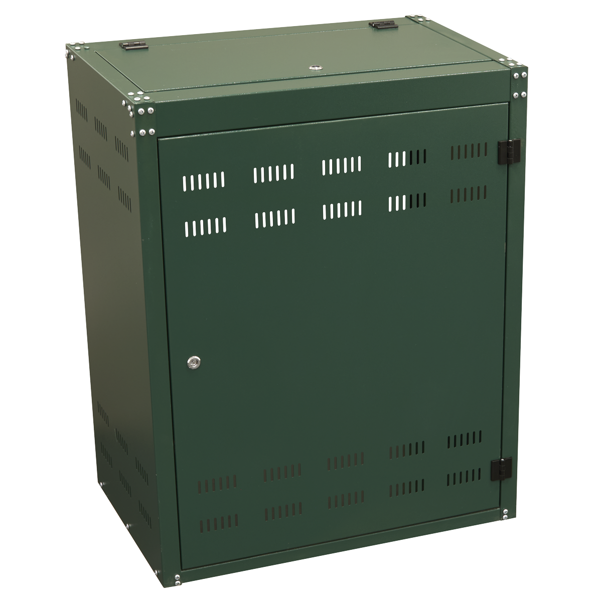 Solid Gas Cylinder Safety Cabinet - 2 x 19kg