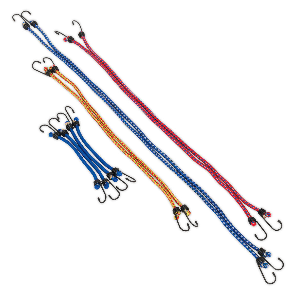 Bungee Cord Set 10pc