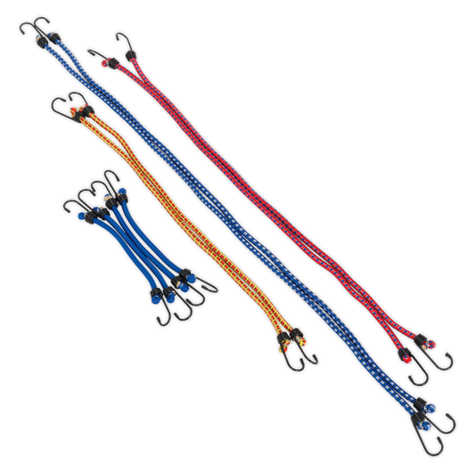 Bungee Cord Set 10pc