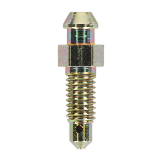 Brake Bleed Screw M6 x 29mm 1mm Pitch - Pack of 10