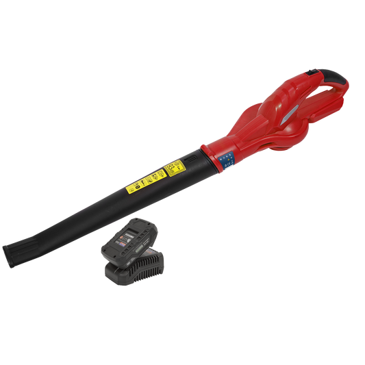 SV20 Series Cordless Leaf Blower with 20V 2Ah Battery & Charger