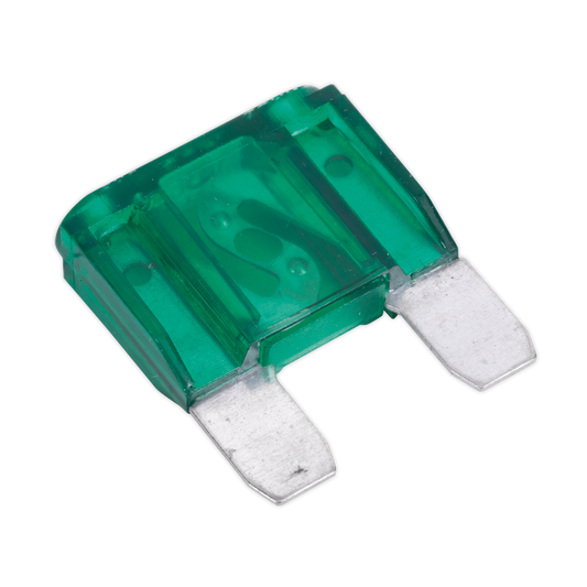Automotive MAXI Blade Fuse 30A - Pack of 10