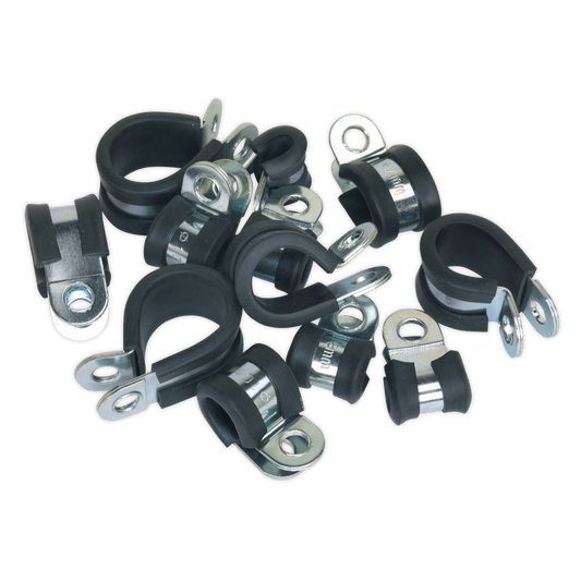 Rubber Lined P-Clip Assortment 60pc