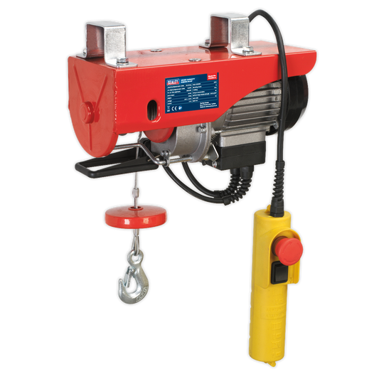 Power Hoist 250kg Capacity 230V