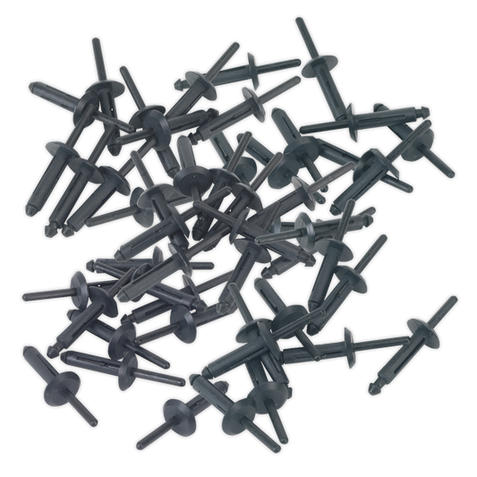 Plastic Rivet 6.3 x 25.2mm - Pack of 50