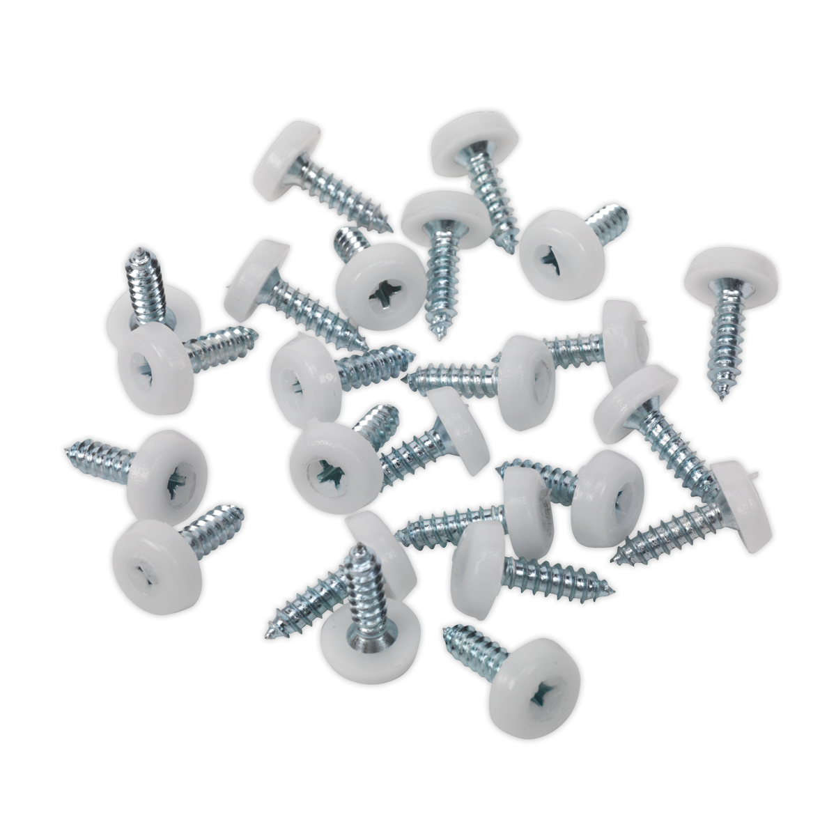 Numberplate Screw with Plastic Enclosed Head 4.8 x 18mm, White - Pack of 50
