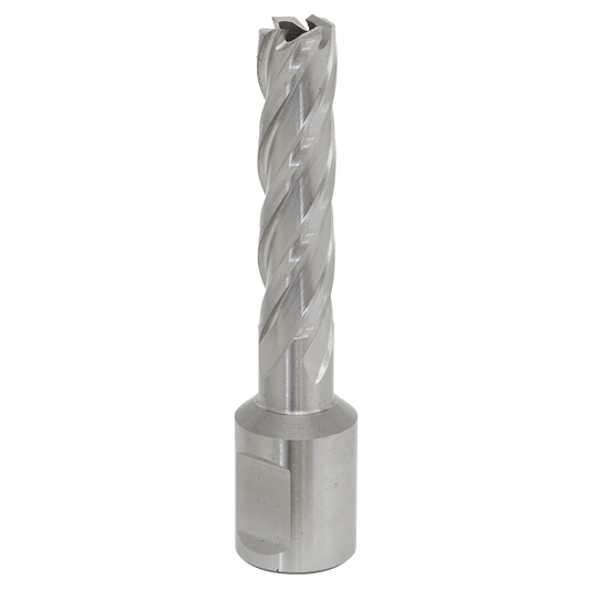Worksafe® 12mm HSS Mag Drill Bit Cut Depth 50mm