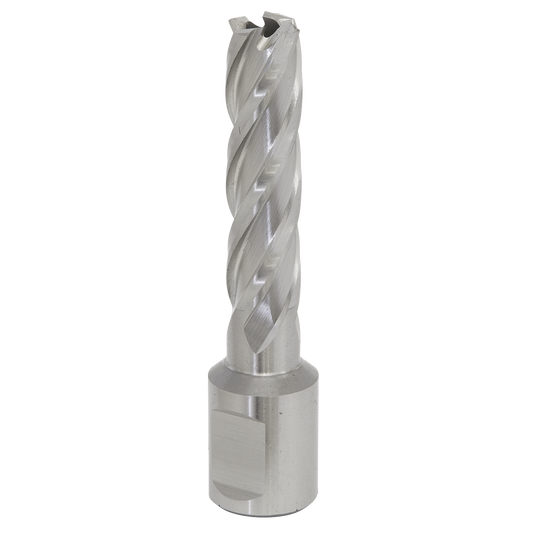 Worksafe® 13mm HSS Mag Drill Bit Cut Depth 50mm