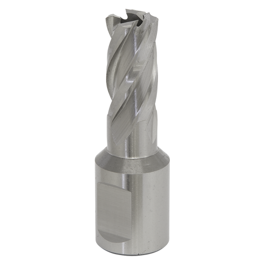 Worksafe® 13mm HSS Mag Drill Bit Cut Depth 25mm