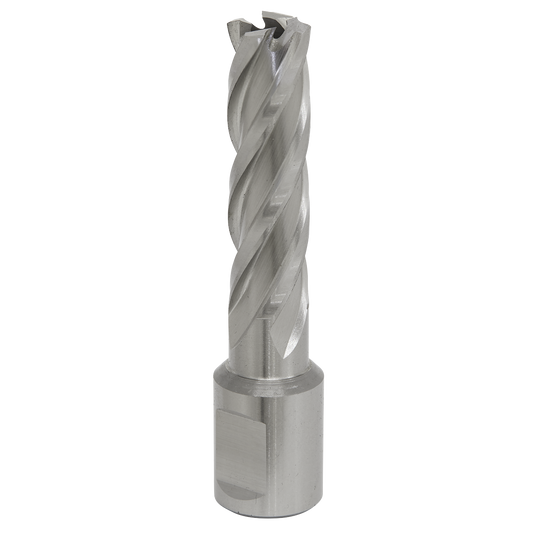 Worksafe® 14mm HSS Mag Drill Bit Cut Depth 50mm