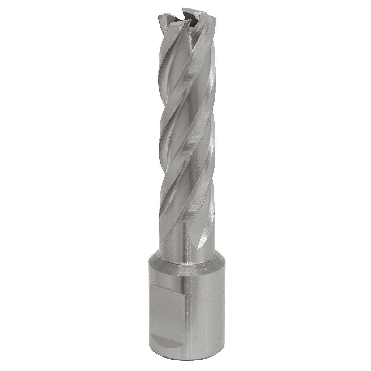 Worksafe® 15mm HSS Mag Drill Bit Cut Depth 50mm