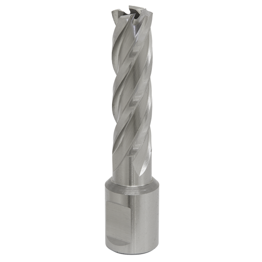 Worksafe® 15mm HSS Mag Drill Bit Cut Depth 50mm