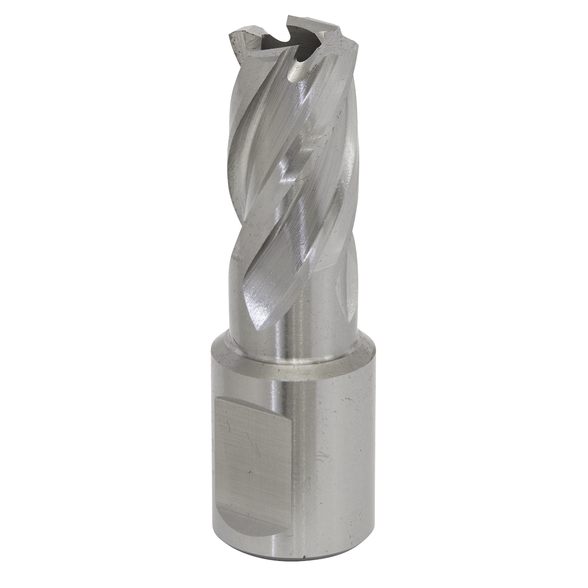 Worksafe® 15mm HSS Mag Drill Bit Cut Depth 25mm