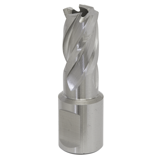 Worksafe® 15mm HSS Mag Drill Bit Cut Depth 25mm