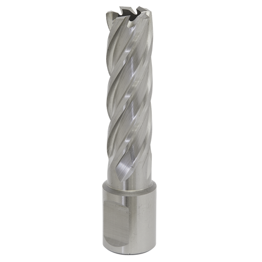 Worksafe® 16mm HSS Mag Drill Bit Cut Depth 50mm