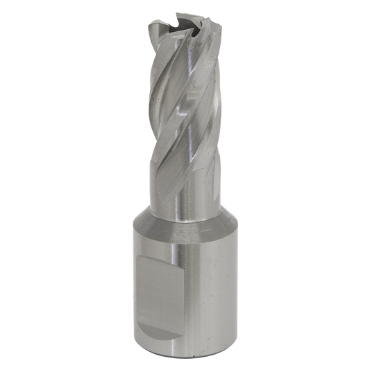 Worksafe® 16mm HSS Mag Drill Bit Cut Depth 25mm