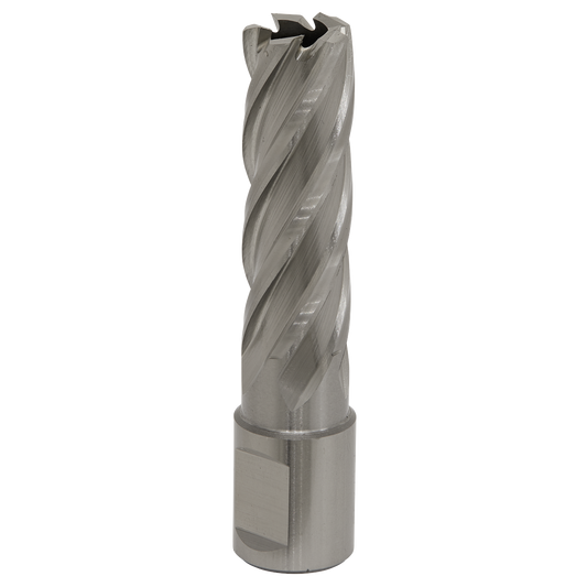Worksafe® 17mm HSS Mag Drill Bit Cut Depth 50mm
