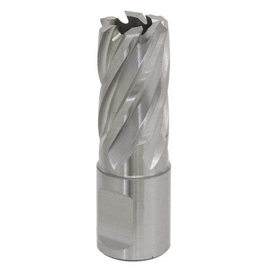 Worksafe® 17mm HSS Mag Drill Bit Cut Depth 25mm