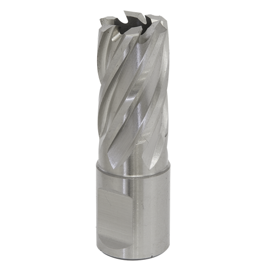 Worksafe® 18mm HSS Mag Drill Bit Cut Depth 25mm