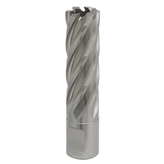Worksafe® 19mm HSS Mag Drill Bit Cut Depth 50mm