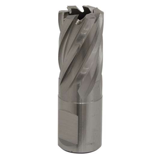 Worksafe® 19mm HSS Mag Drill Bit Cut Depth 25mm