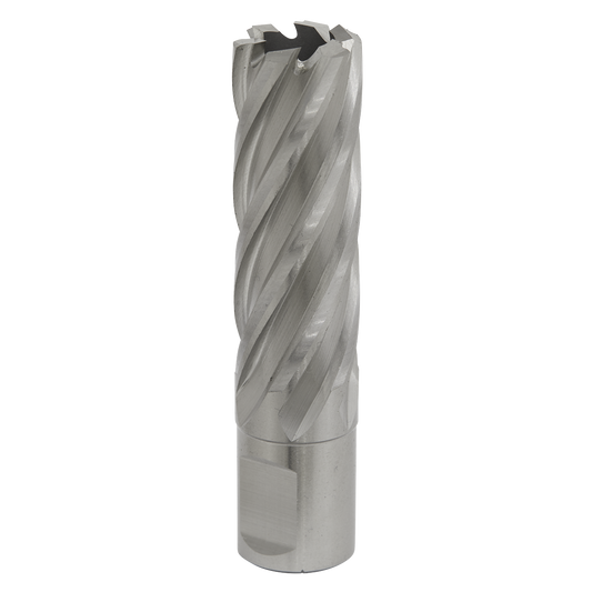 Worksafe® 20mm HSS Mag Drill Bit Cut Depth 50mm