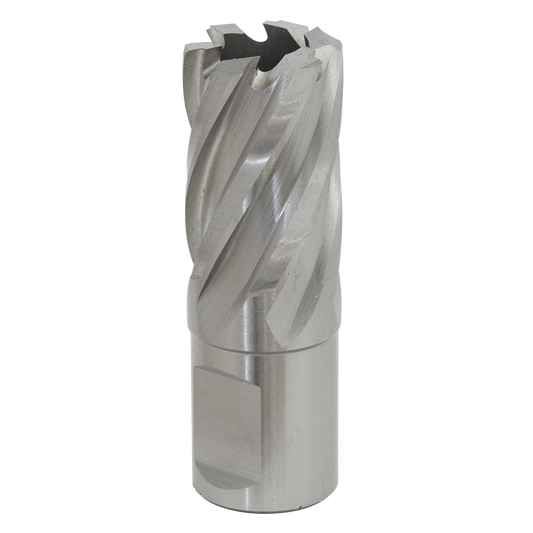 Worksafe® 20mm HSS Mag Drill Bit Cut Depth 25mm