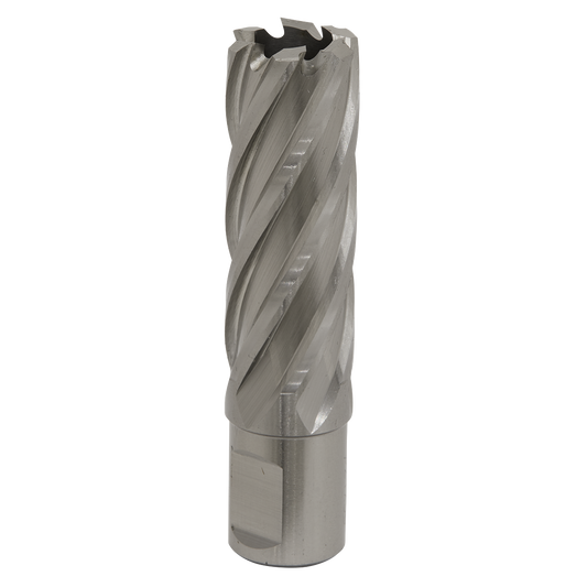 Worksafe® 21mm HSS Mag Drill Bit Cut Depth 50mm