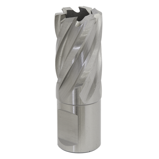 Worksafe® 21mm HSS Mag Drill Bit Cut Depth 25mm