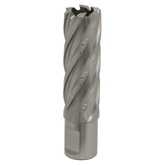 Worksafe® 22mm HSS Mag Drill Bit Cut Depth 50mm