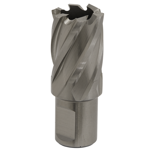Worksafe® 22mm HSS Mag Drill Bit Cut Depth 25mm