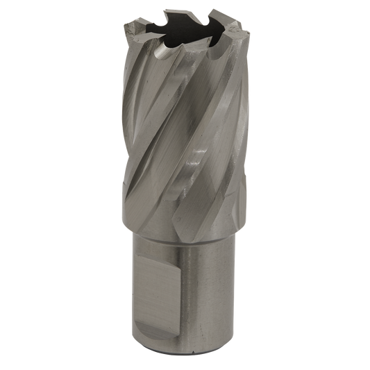Worksafe® 23mm HSS Mag Drill Bit Cut Depth 25mm