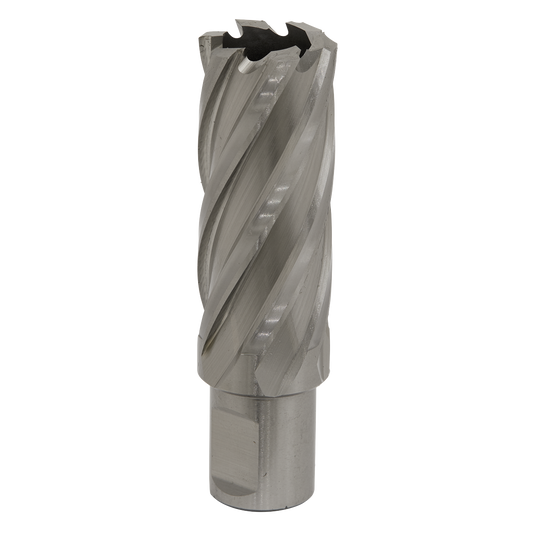 Worksafe® 24mm HSS Mag Drill Bit Cut Depth 50mm