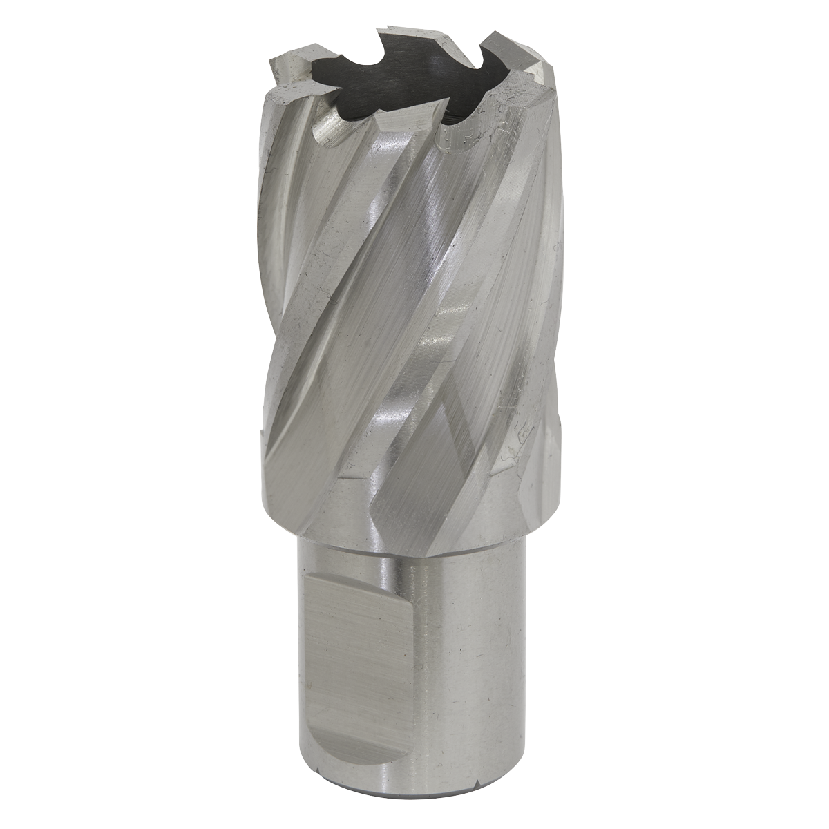 Worksafe® 24mm HSS Mag Drill Bit Cut Depth 25mm