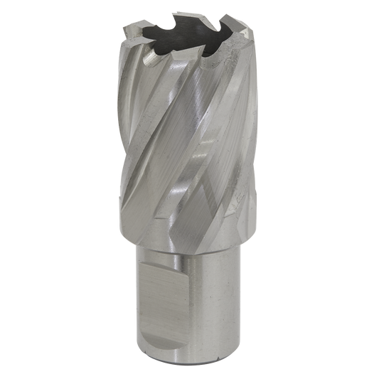 Worksafe® 25mm HSS Mag Drill Bit Cut Depth 25mm