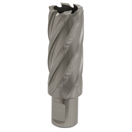Worksafe® 26mm HSS Mag Drill Bit Cut Depth 50mm