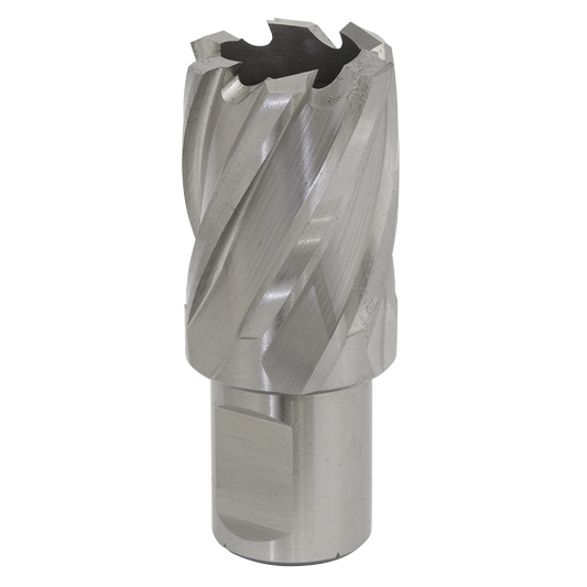 Worksafe® 26mm HSS Mag Drill Bit Cut Depth 25mm