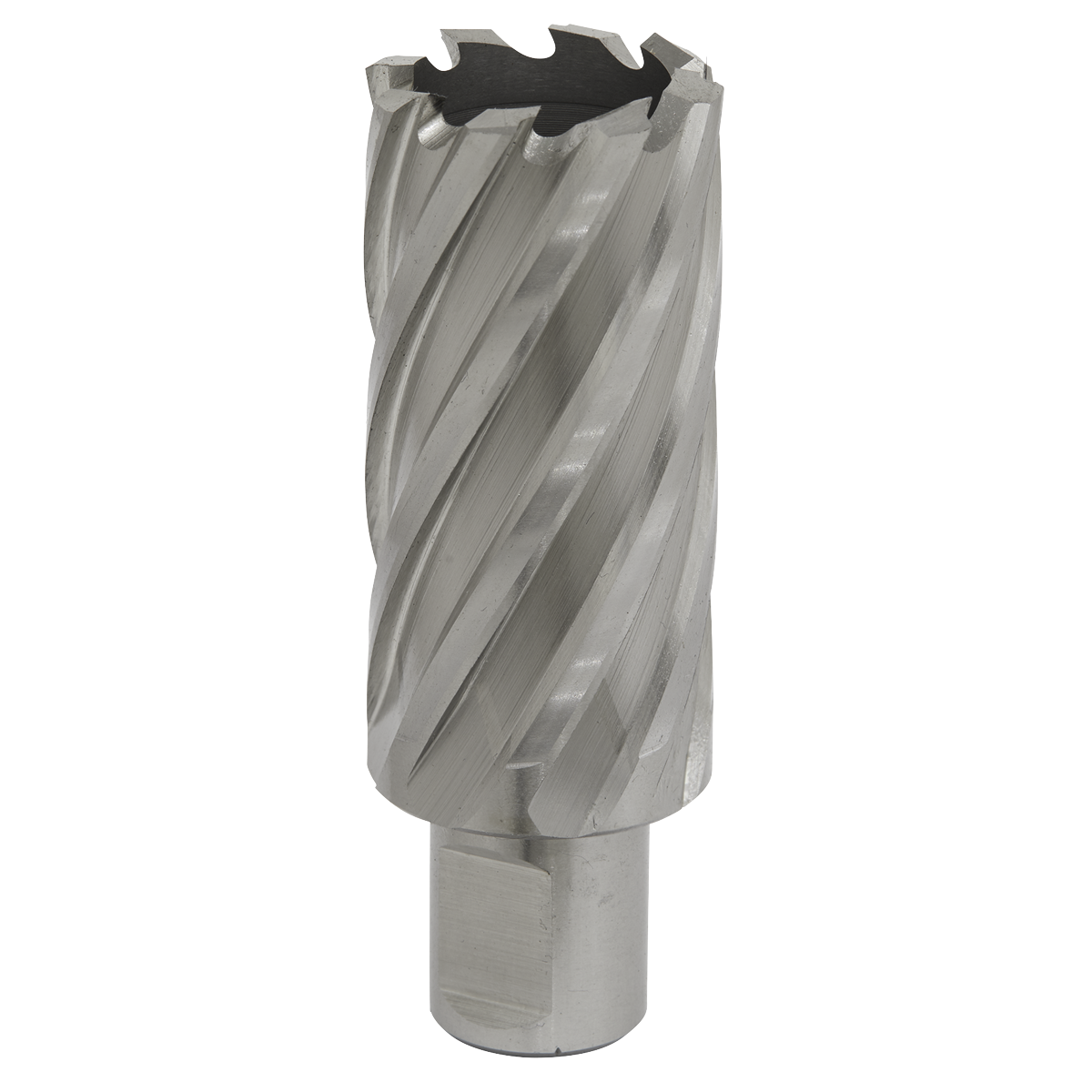 Worksafe® 29mm HSS Mag Drill Bit Cut Depth 50mm