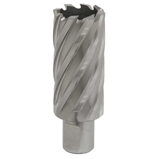 Worksafe® 29mm HSS Mag Drill Bit Cut Depth 50mm