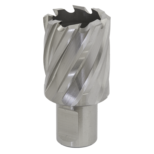 Worksafe® 29mm HSS Mag Drill Bit Cut Depth 25mm