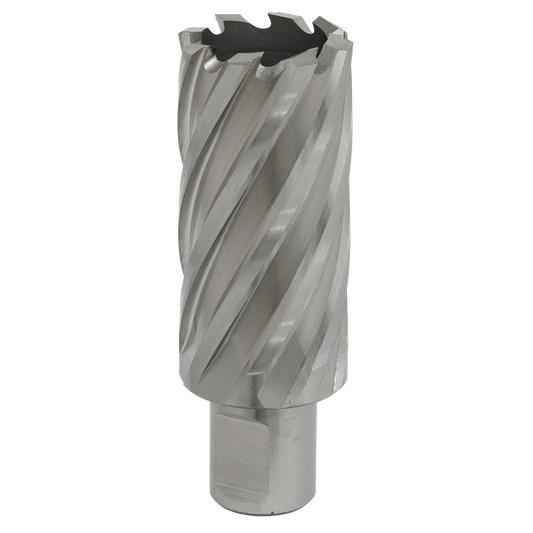 Worksafe® 30mm HSS Mag Drill Bit Cut Depth 50mm