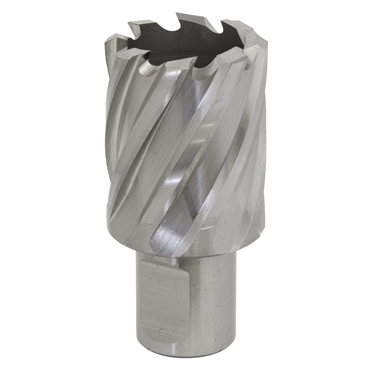 Worksafe® 30mm HSS Mag Drill Bit Cut Depth 25mm
