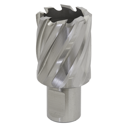 Worksafe® 30mm HSS Mag Drill Bit Cut Depth 25mm