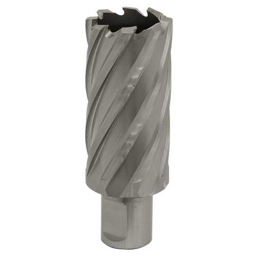 Worksafe® 31mm HSS Mag Drill Bit Cut Depth 50mm